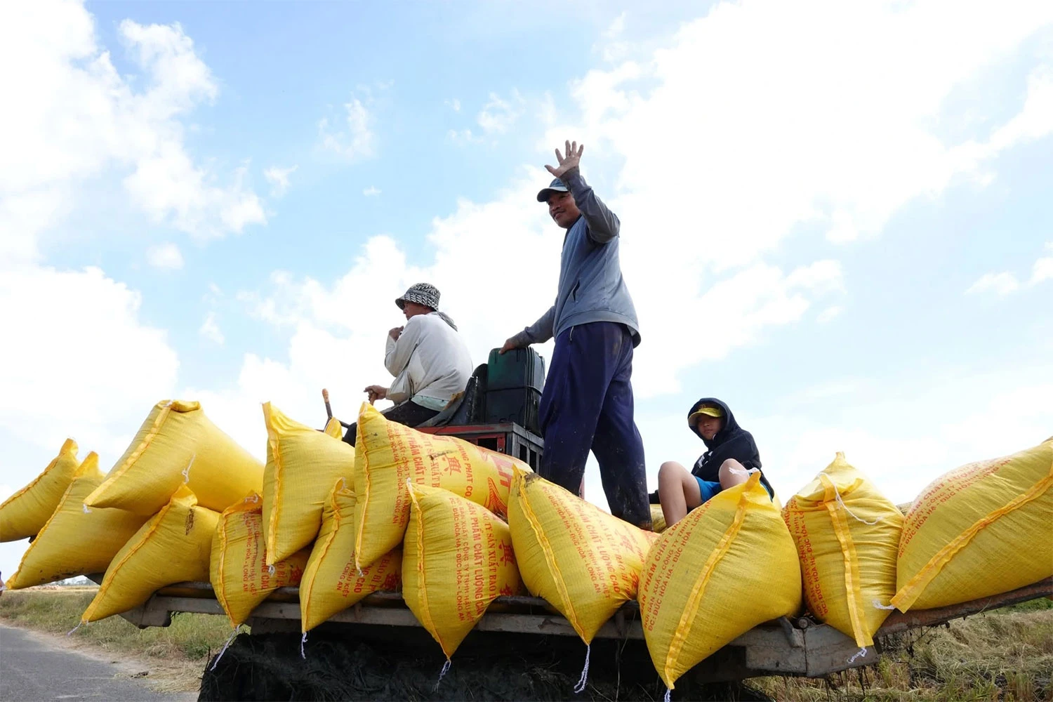 Positive signals for Vietnam's rice exports
